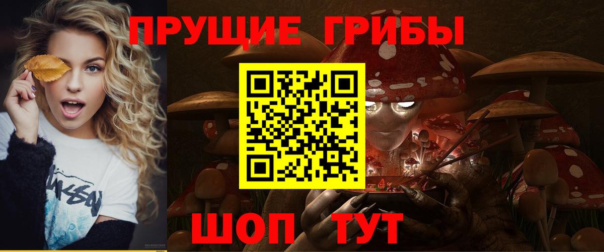 Псилоцибиновые грибы Cubensis  купить наркотики цена  Псилоцибиновые грибы ЛСД  Новотроицк  Вход с VPN 